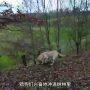 Video_Beyond-Travel_1