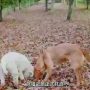 Video_Beyond-Travel_2