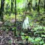 Video_Beyond-Travel_3
