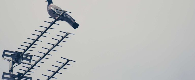 antena
