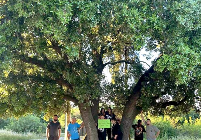 Mještani Sv. Martina i Zelena Istra ujedinili se za spas 200-godišnjeg hrasta: podršku dale Općina Vrsar-Orsera i Natura Histrica