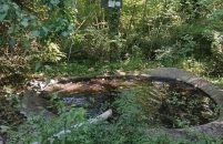 Pune se prirodna pojilišta za divlje životinje