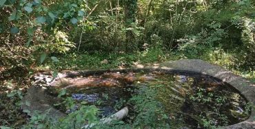 Pune se prirodna pojilišta za divlje životinje