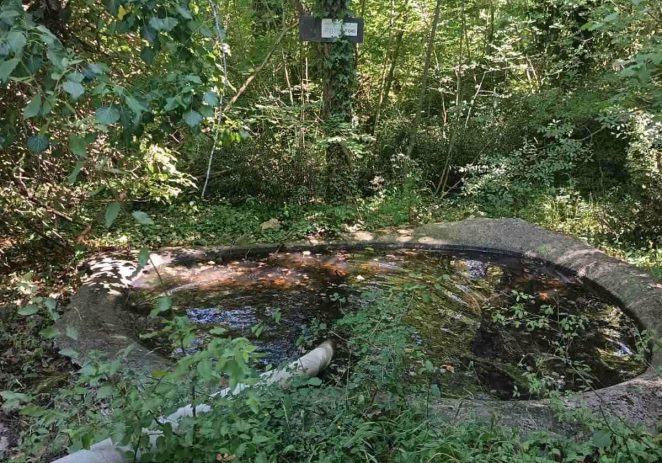 Pune se prirodna pojilišta za divlje životinje