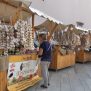Ovoga vikenda 7. Festival istarskog češnjaka na Trgu slobode