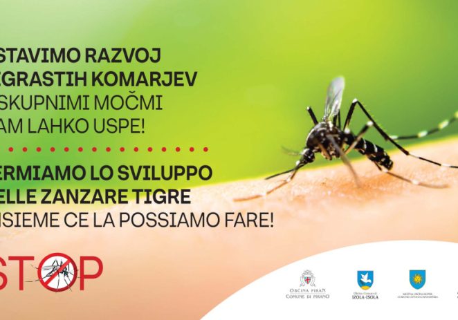 Kako se protiv tigrastih komaraca bore u nama najbližem susjedstvu – slovenskom dijelu Istre?