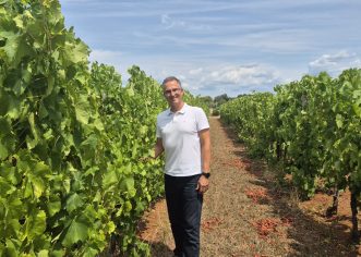 Istraživanja Instituta za poljoprivredu i turizam urodila plodom.  Gotovo nestale istarske sorte ponovno su u vinogradima, bocama i u ponudi vinarija