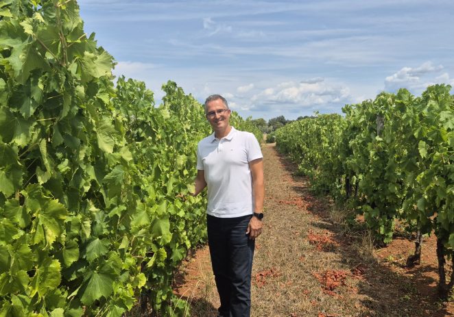 Istraživanja Instituta za poljoprivredu i turizam urodila plodom.  Gotovo nestale istarske sorte ponovno su u vinogradima, bocama i u ponudi vinarija