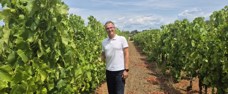 Dr.sc. Marijan Bubola u kolekcijskom nasadu vinove loze