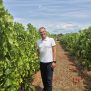 Istraživanja Instituta za poljoprivredu i turizam urodila plodom.  Gotovo nestale istarske sorte ponovno su u vinogradima, bocama i u ponudi vinarija