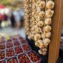Festival istarskog češnjaka (9)