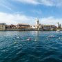 porecki-delfin (1)