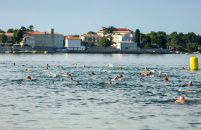 Porečki delfin slavi 25 godina: očekuje se preko 1.700 sudionika – online prijave do 26. kolovoza