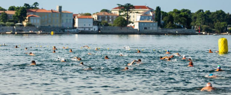 porecki-delfin (4)