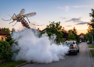 Od 14. do 16. rujna provodit će se zamagljivanje komaraca – raspored i pojašenjenje u tekstu