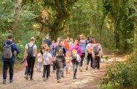 Od Limskog zaljeva do Kontije: Vrsar jesen posvetio prirodi