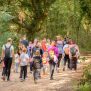 Od Limskog zaljeva do Kontije: Vrsar jesen posvetio prirodi