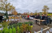 Grad Poreč: U Poreču u proteklih 5 godina posađeno gotovo 7000 stabala i sadnica