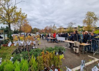 Grad Poreč: U Poreču u proteklih 5 godina posađeno gotovo 7000 stabala i sadnica