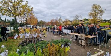 Grad Poreč: U Poreču u proteklih 5 godina posađeno gotovo 7000 stabala i sadnica