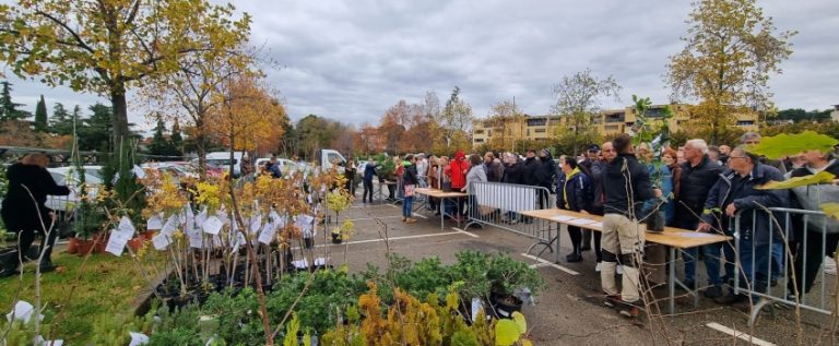 Podjela-sadnica-na-Velikom-gradskom-parkiralistu_large