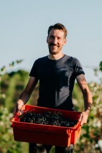 Suradnik Dominik Anđelini Suradnik Dominik Anđelini